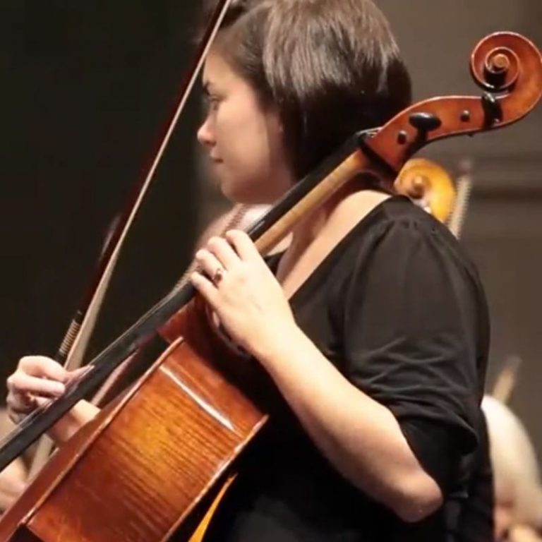 Raleigh Symphony Orchestra Video