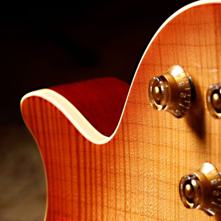 Les Paul Guitar Photo